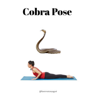 cobra pose