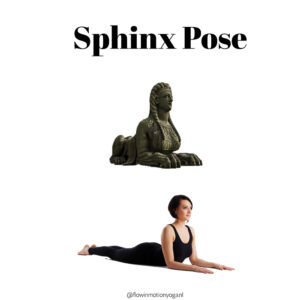 sphinx pose yoga