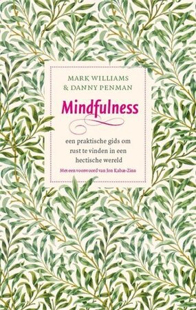 mark williams - Mindfulness een praktische gids om rust te vinden in een hectische wereld