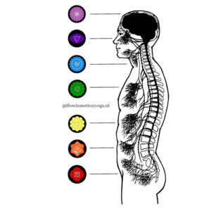chakra kleuren zenuwbundels