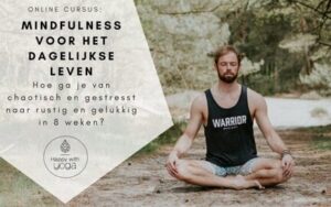 mindfulness-voor-het-dagelijkse-leven-banner klein