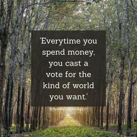 quote about conscious consumerism flowinmotionyoga