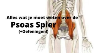 psoas spier
